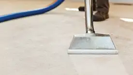 Carpet cleaning wand head gliding over a light carpet during hot-water extraction, Philadelphia, PA.